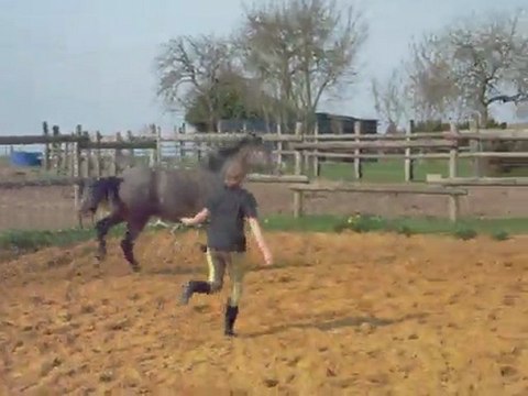 Vacadam Star Troides