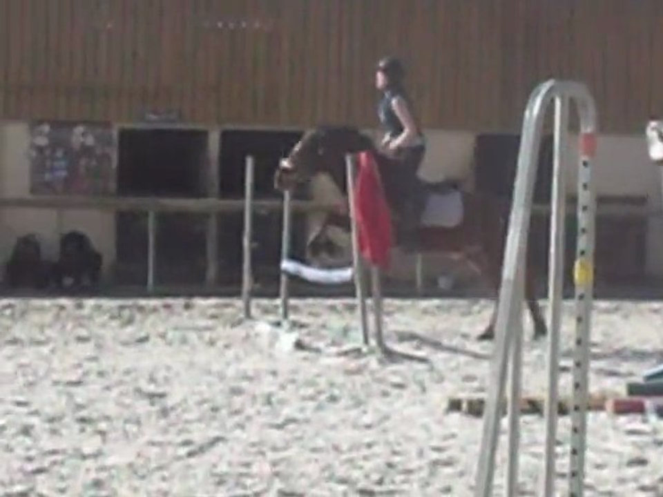 Nolwenn et Galant