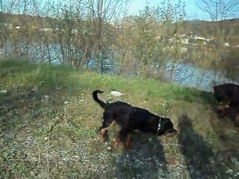 paco et felina 26 mars 2011 026