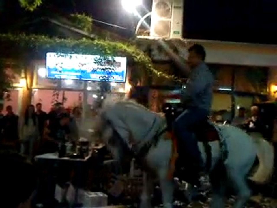 MOV01244ok