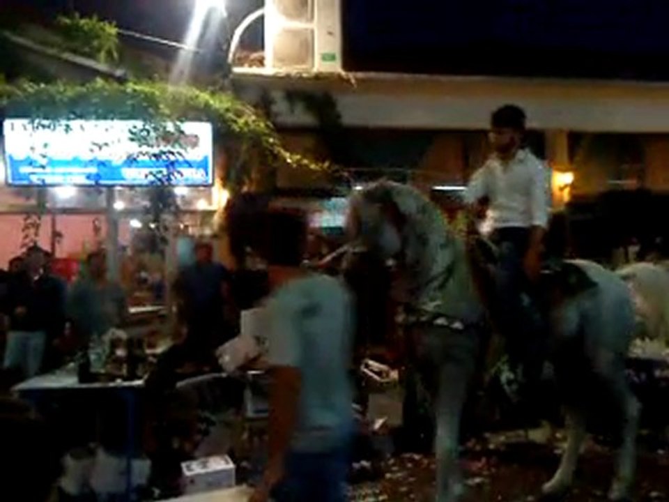 MOV01246