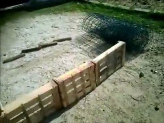 Agility Béthy partie 2