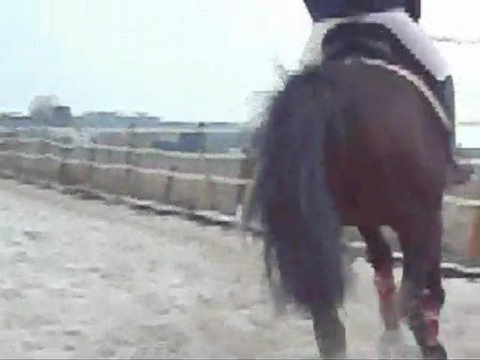 Finegold au galop