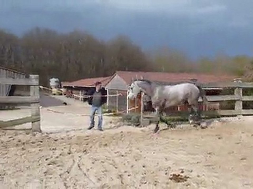 Urikan saut en liberté le 26.03.2011