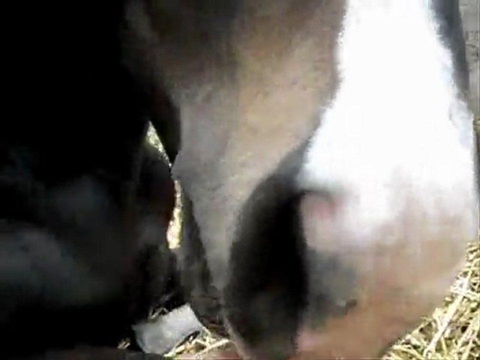 Ma roro que j'aime plus que tout.