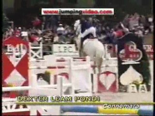 poneys célèbres !!!