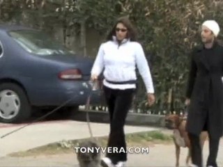 Anjelica Huston walking her Dogs and a man is yelling at cops  at Venice beach