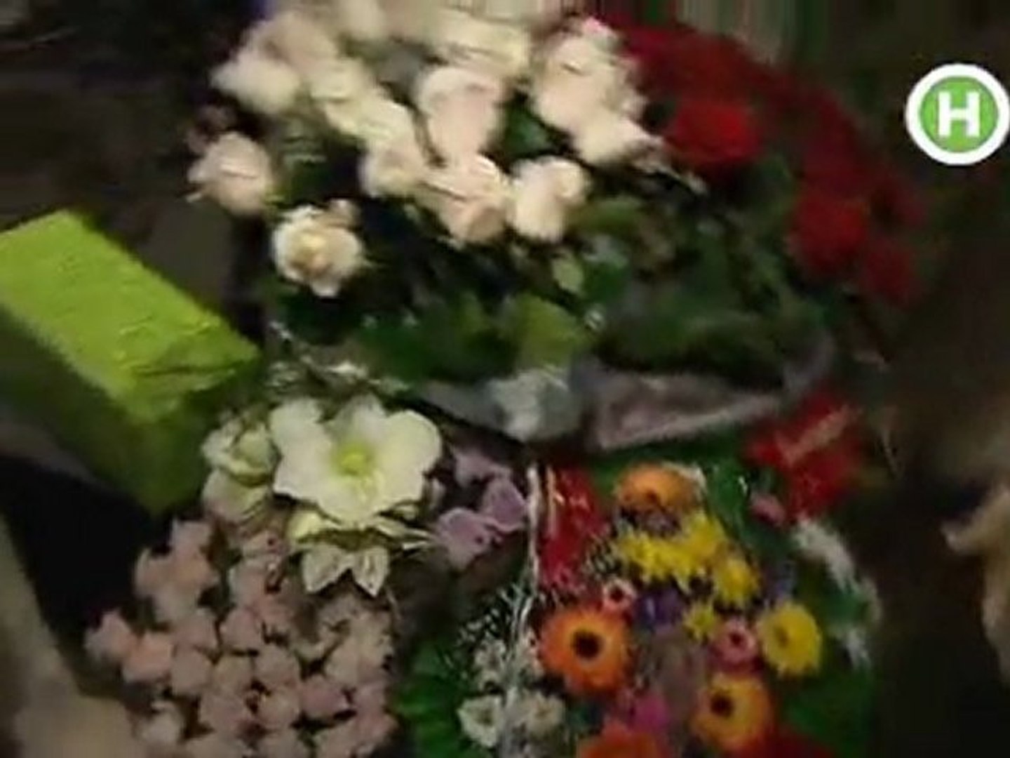 Віталій Козловський. Программа