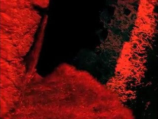 big somebody - Casting JVSCAZ Saison #2