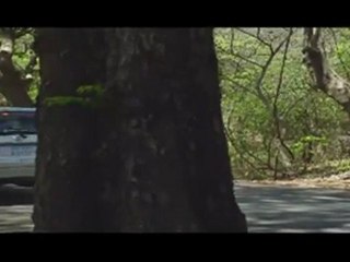 Very Hot Song 'Meri Jaan' From Yeh Saali Zindag First Look