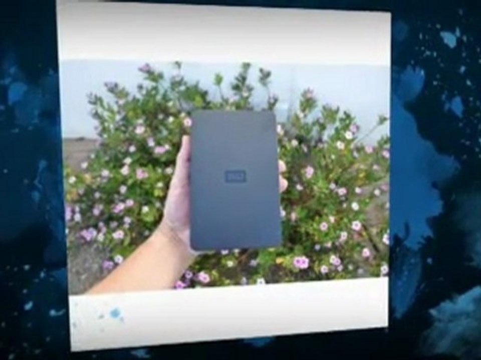 Western Digital WD Elements One Storage For All