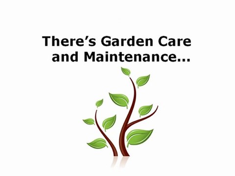 Exterior House Cleaning Announces 3 New Services