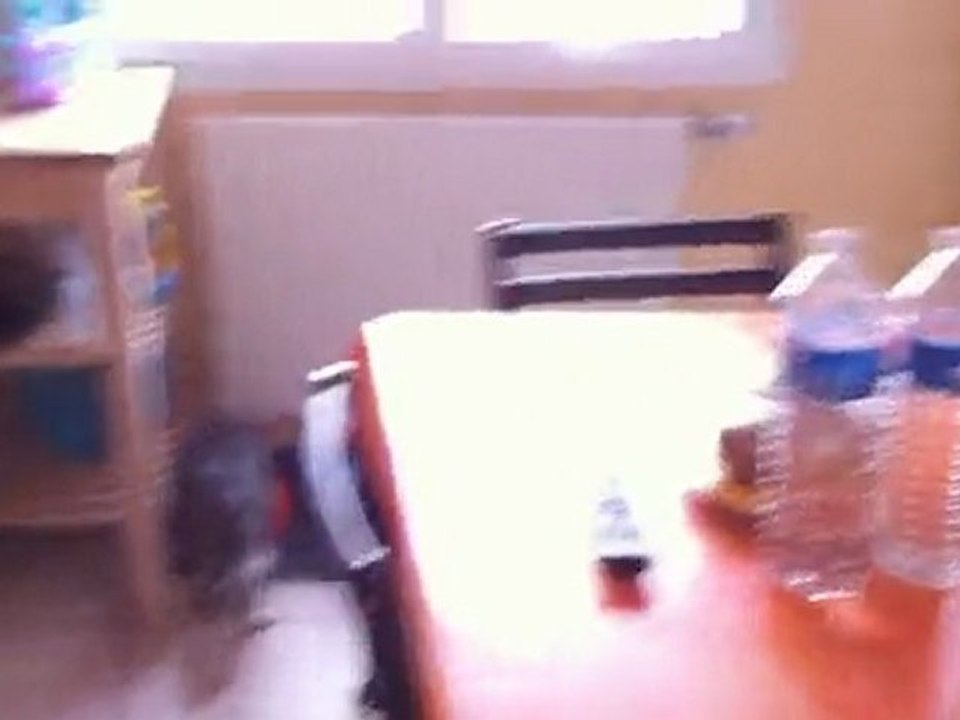 Visite de la maison !