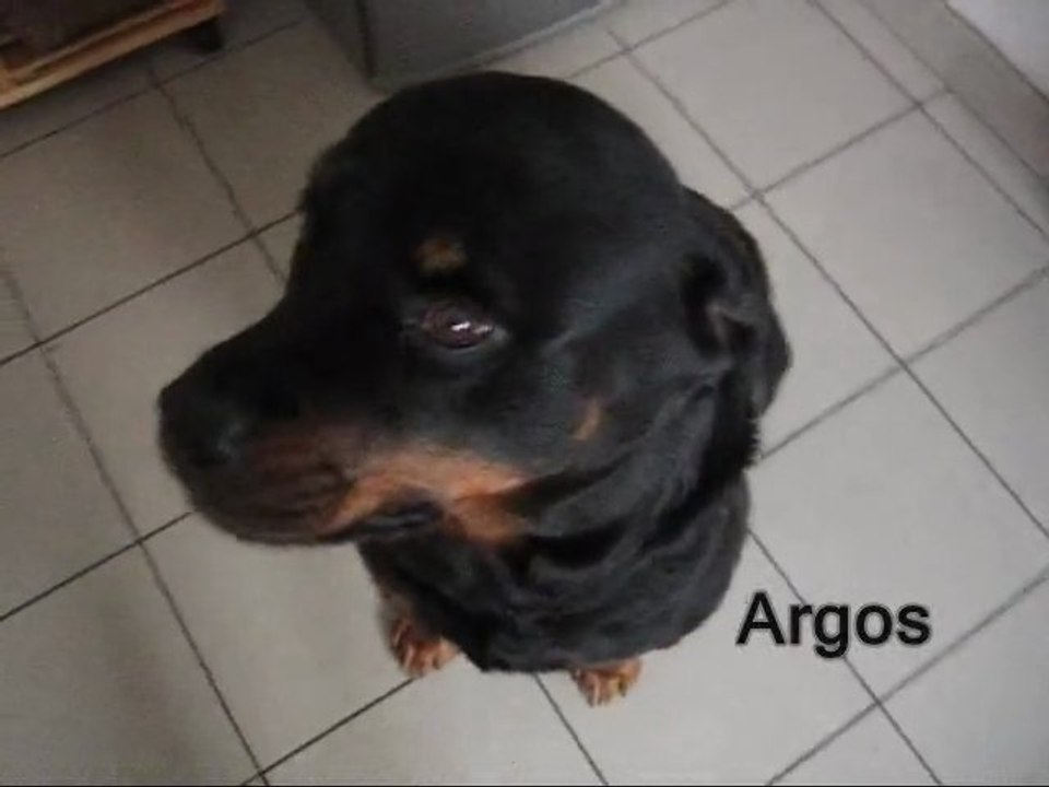 Argos