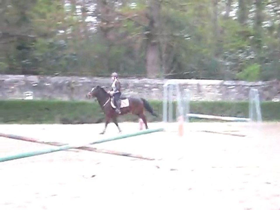 Le 26.03.11- Simbad & Gwen Saut. II