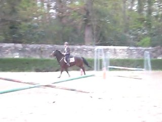 Le 26.03.11- Simbad & Gwen Saut. II