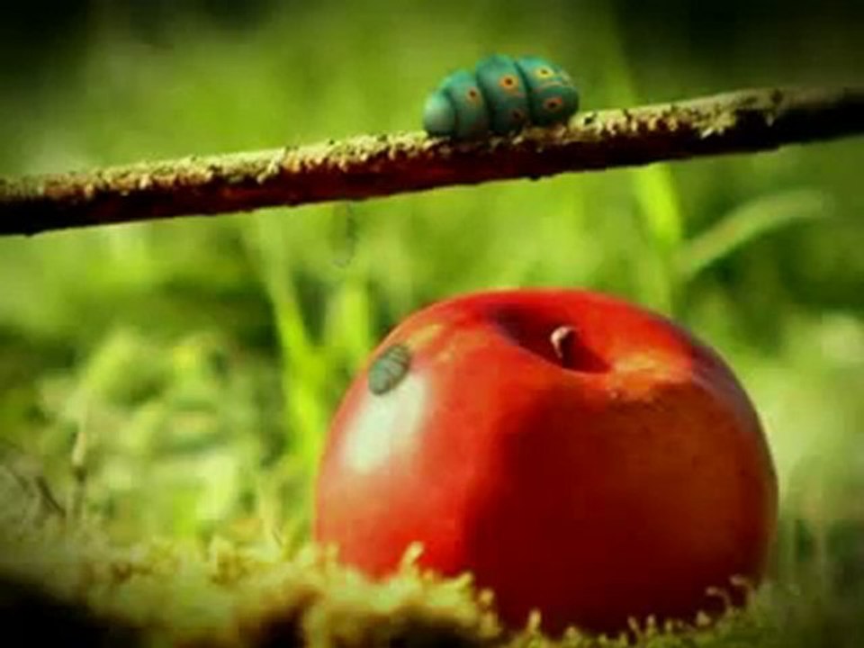 cool animals