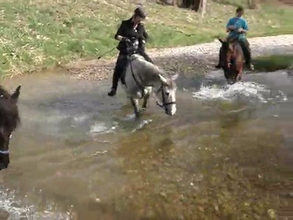 Baignade 26 Mars 2011_0001