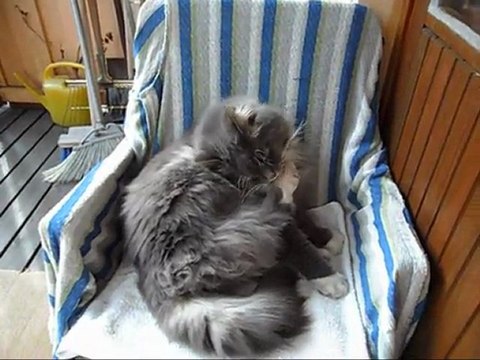 Film på Revis 27 Mars - 11. Med musik.