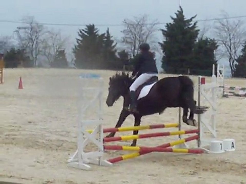 Laurenne et Tekila CSO Eole du 27-03-11 Club 4