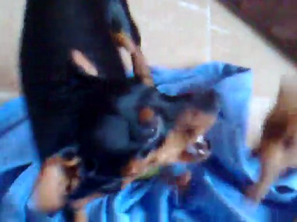 Jugando en salon