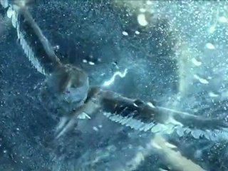 LE ROYAUME DE GA'HOOLE - LA LEGENDE DES GARDIENS TRAILER VF