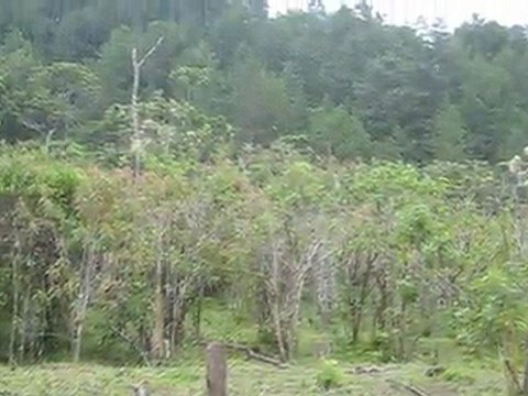 Terreno Gigante de 3000 manzanas en Intibuca