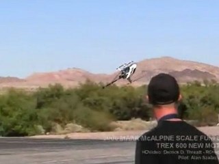 TRex 600 Helicopter - Amazing Tricks