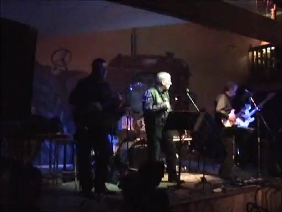 chats d'oz - blue suede shoes