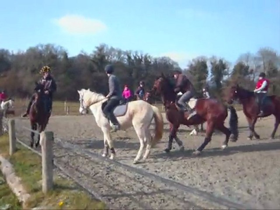 Le Joyau d'Or Hiver 2011