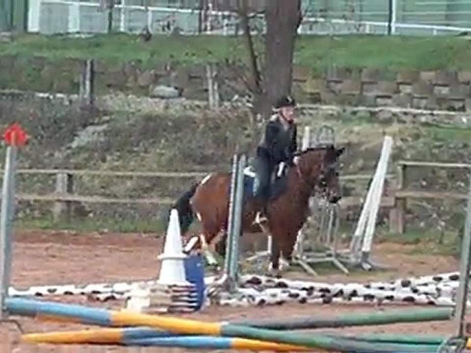 Jasper, sur le 20cm. ♥