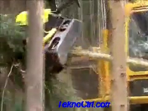 ağaç budama makinesi