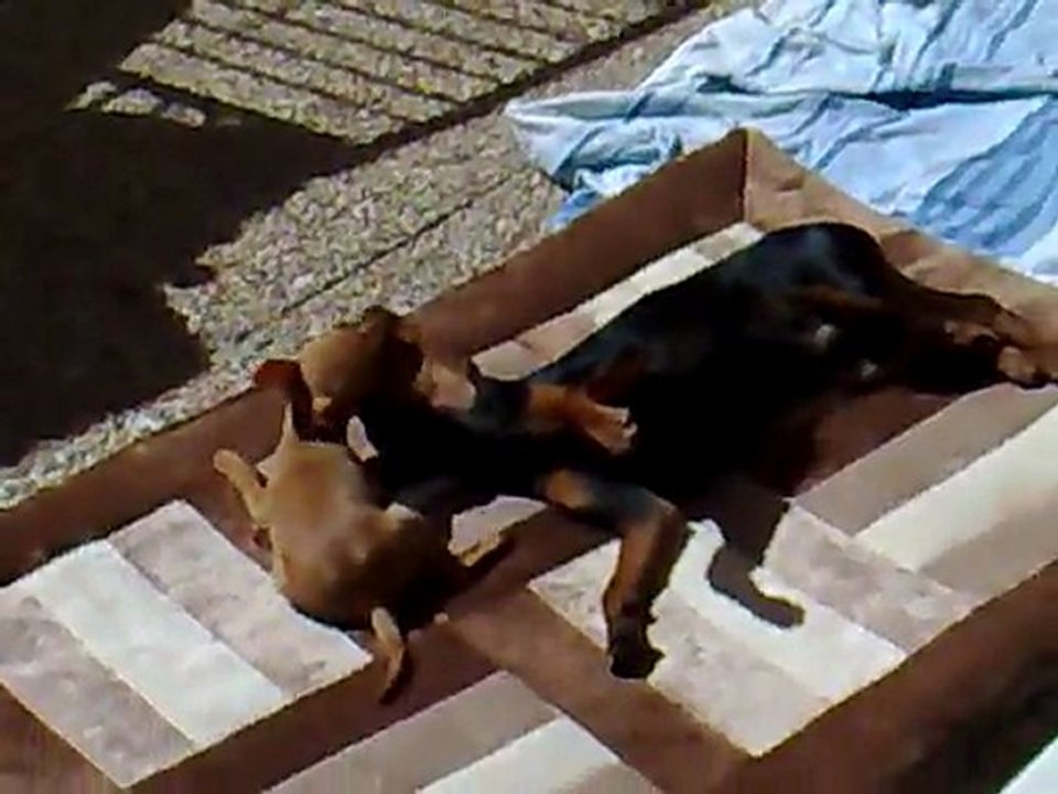 Jugando en terraza