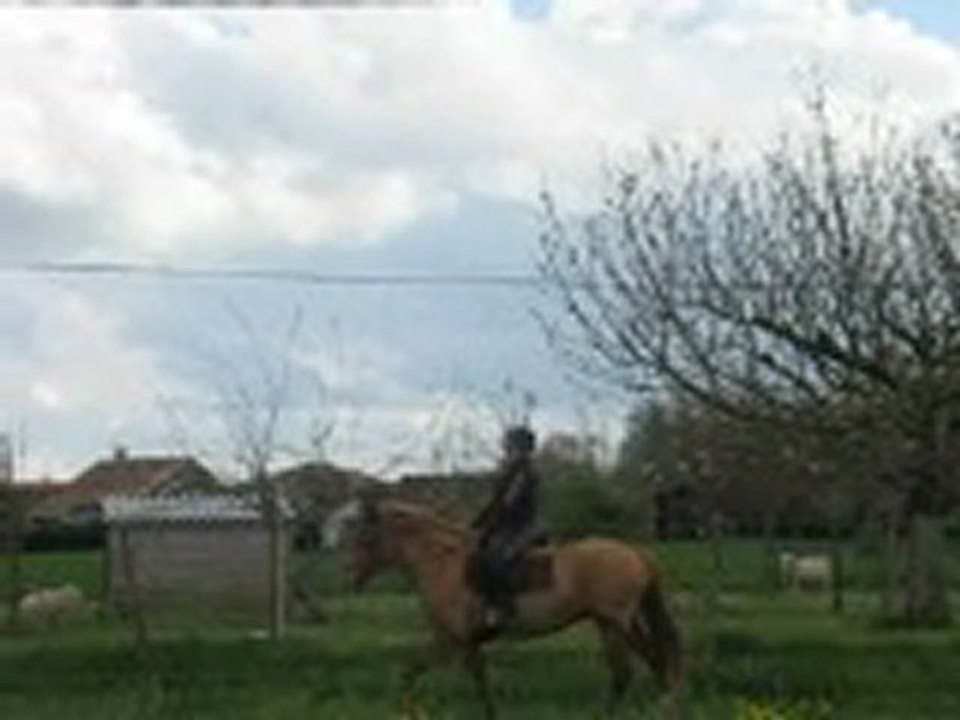 quartzifere