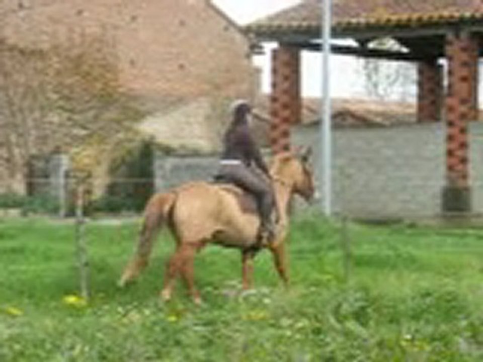 quartzifere