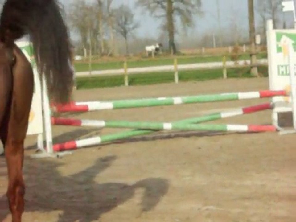 CSO Dol de Bretagne - mayssa et audrey