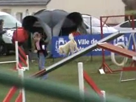 Anis GPF Chateauroux 03 2011