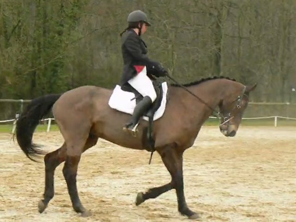 Gaëlle sur Jalap.Amateur 3 B. 27 mars 2011.dressage Laval.