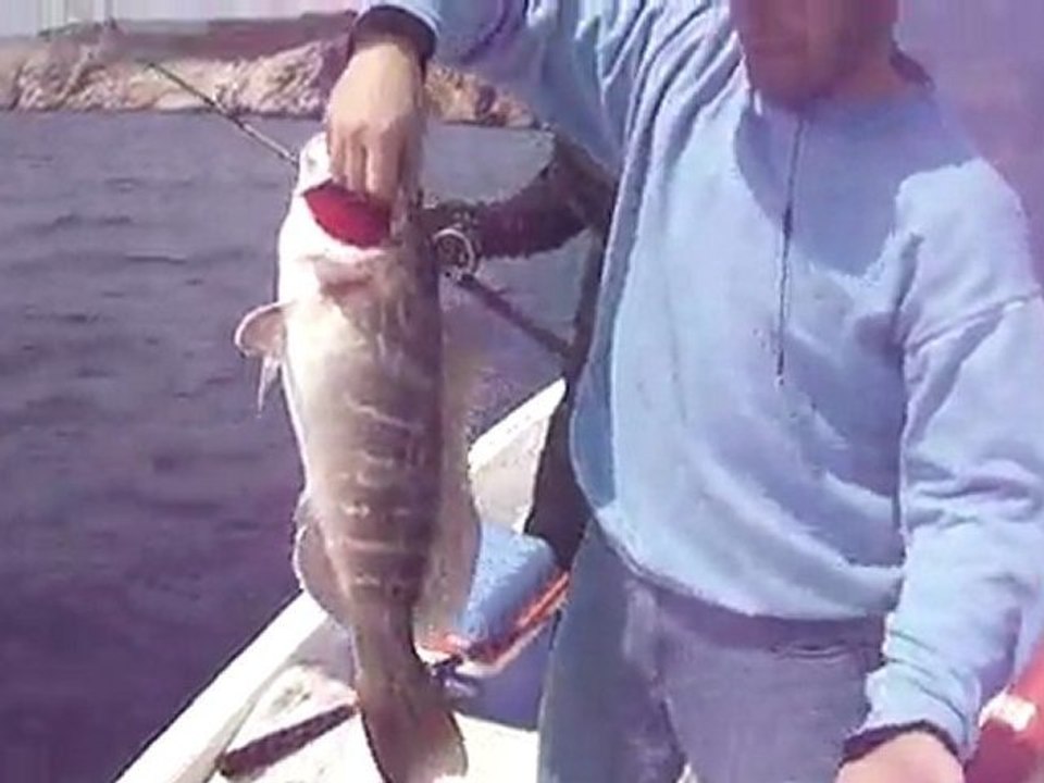 ANTALYA ADRASAN BALIK AVI TURUNDA JIGGING LAGOS AVI - www.adrasanbalik.com