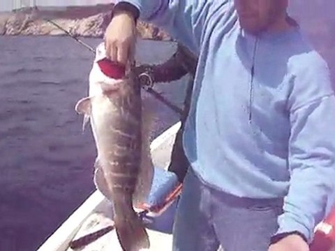 ANTALYA ADRASAN BALIK AVI TURUNDA JIGGING LAGOS AVI - adrasanbalik.com