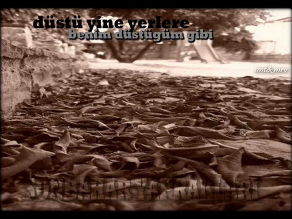 Sehabe-Nazilli şahidim
