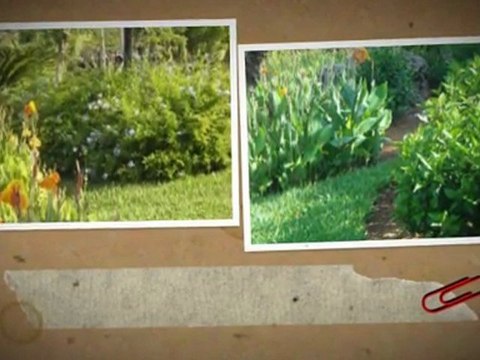 Plantation FL Halks Landing Beautiful Homes and Gardens