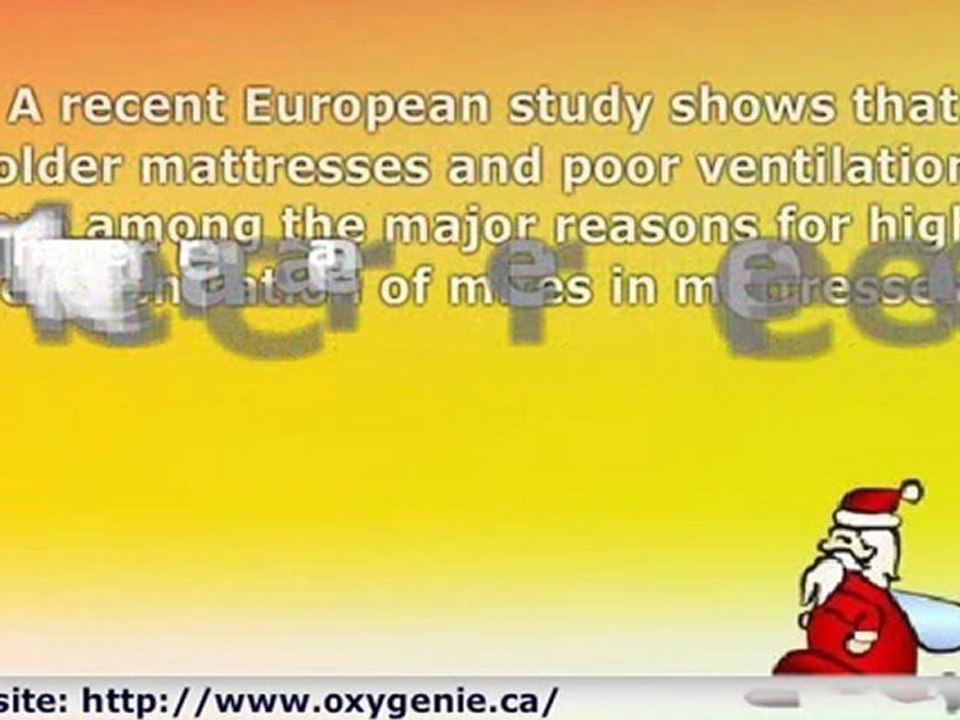 Bed Bugs_mattresscleaningcalgary_Services