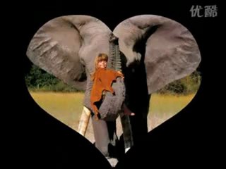 TIPPI - Wild Child - Diaporama - Enya