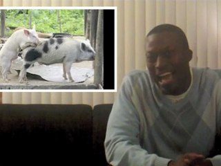 Man Caught w/ HOGS | VLOG