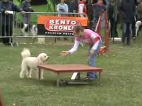 Anis 1er degré Chateauroux 03 2011