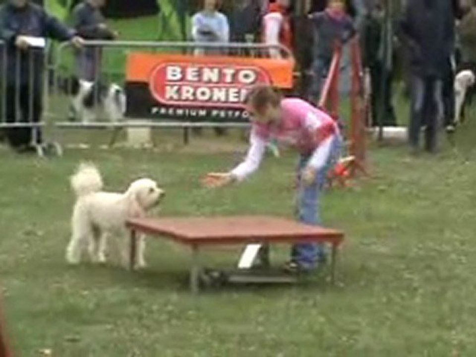 Anis 1er degré Chateauroux 03 2011