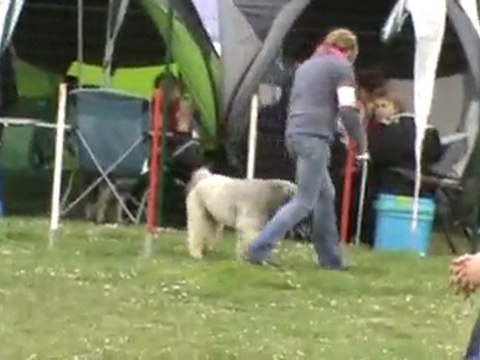 Email 1er degré Chateauroux 03 2011