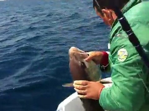 Trofe 19 kg Akya jigging yüntemiyle