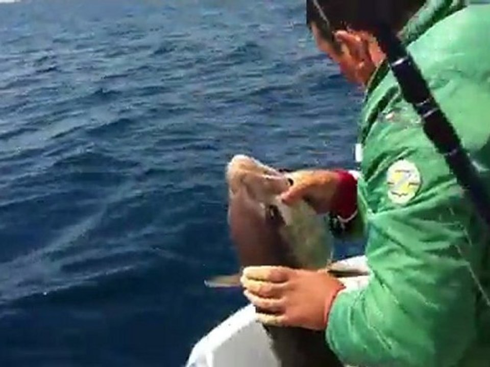 Trofe 19 kg Akya jigging yüntemiyle